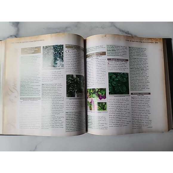 New Complete Guide to Gardening by Better Homes and Gardens Editors and Susan A. - Picture 8 of 10